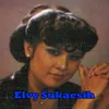 About Elvy Sukaesih - Ukur Hiji Song