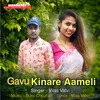 About Gavu Kinare Aameli Song