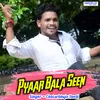 About Pyaar Bala Seen Song