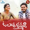 About O Lacha Gummadi Song