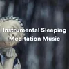 Instrumental Sleeping Meditation Music, Pt. 3