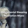 Instrumental Sleeping Meditation Music, Pt. 9