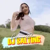About DJ Salting Song