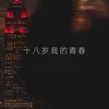 About 十八岁我的青春 Song