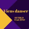 About Viens danser Song