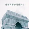 About 感谢青春岁月遇到你 Song