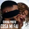 About Cosa mi fai Song