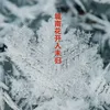 About 城南花开人未归 Song