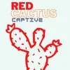 Red Cactus