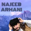 Pashto Khakarai De Janan Ghamina