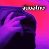 About ฉันขอโทษ Song