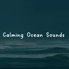 Calming Ocean Sounds, Pt. 4