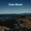 Calm Music, Pt. 1