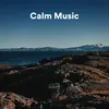 Calm Music, Pt. 4