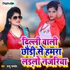 About Delhi Wali Chhodi Se Hamara Ladlo Nagariya Song