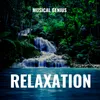 About Relaxation Song