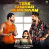 About Tere Shahar Mera Naam Song