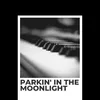 Parkin' In the Moonlight