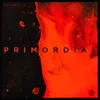 About Primordial Song