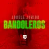 Bandoleros