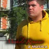 About A Musica Song