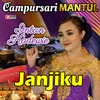 About Janjiku Song