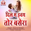 Dil Ma Haway Tor Basera Chhattisgarhi Song