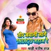 About Tor jawani Lage Indigo Jahaj Re Song