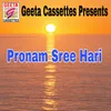 About Pronam Sree Hari Song