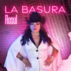 About La Basura Song