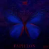 About Papillon Song