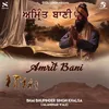 Amrit Bani