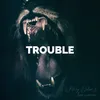 About Trouble Song