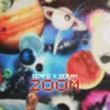 About Zoom Song