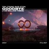 About Goodbye (100 Million Times) Song