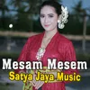 About Mesam Mesem Song