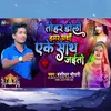 About Tohar Doli Hamar Arthi Ek Sath Jaito Song