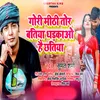 About Gori Mithi Tor Batiya Dhadkao Hai Chhatiya Song