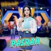 About Pasrah Koplo Version Song