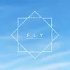 Fly