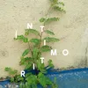 About Íntimo Ritmo Song