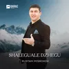 Shaleguale dzhegu