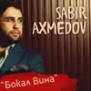 About Бокал Вина Song