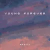 About Young Forever Song