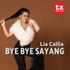 About Bye Bye Sayang Song