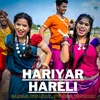 About Hariyar Hareli Chhattisgarhi Hareli Geet Song