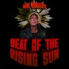 Beat Of The Rising Sun Instrumental Version