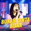 About Bukan Cinta Biasa Song