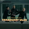 About Farbowany Włos Song