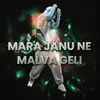 About Mara Janu Ne Malva Geli Song
